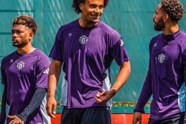 The comparison between Joshua Zirkzee and Matheus Cunha offers valuable insights into the unique strengths and weaknesses of each player. While both forwards have demonstrated their potential, their statistics and playing styles reveal distinct differences.